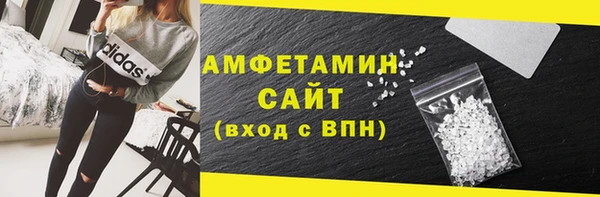 ECSTASY Алзамай