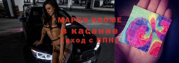 ECSTASY Алзамай