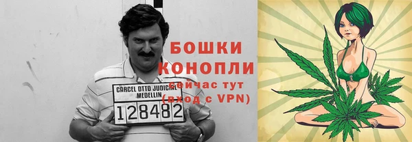 соль ск Алексеевка