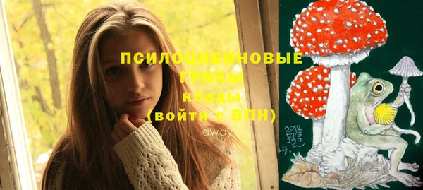 стафф Рославль