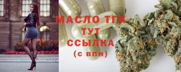 ECSTASY Алзамай