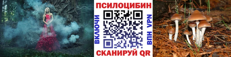 наркота  Анапа  Галлюциногенные грибы мухоморы 
