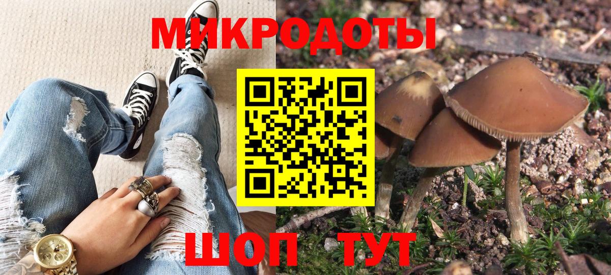 Псилоцибиновые грибы Cubensis Анапа
