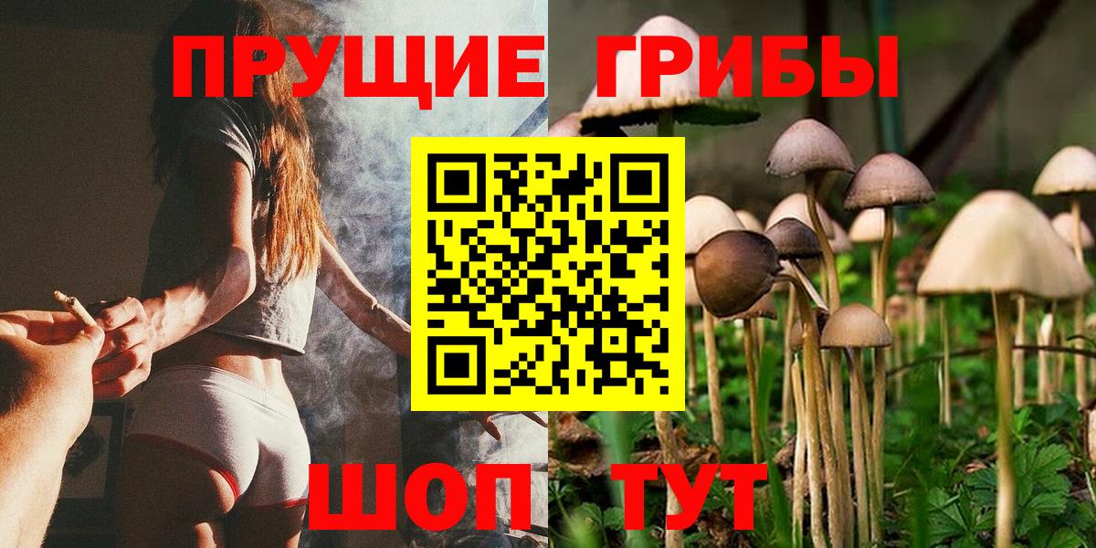 Псилоцибиновые грибы мицелий  Вход с VPN  Псилоцибиновые грибы мицелий  Анапа 